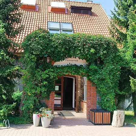 Pensjonat Sztynort Penzion 3*